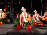 chief's luau chief